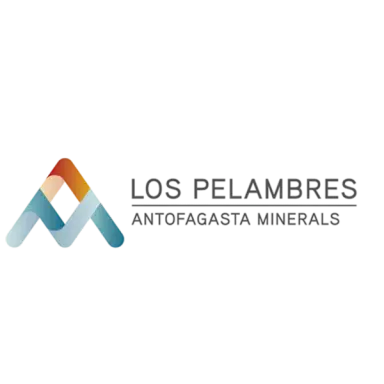 Cliente 13